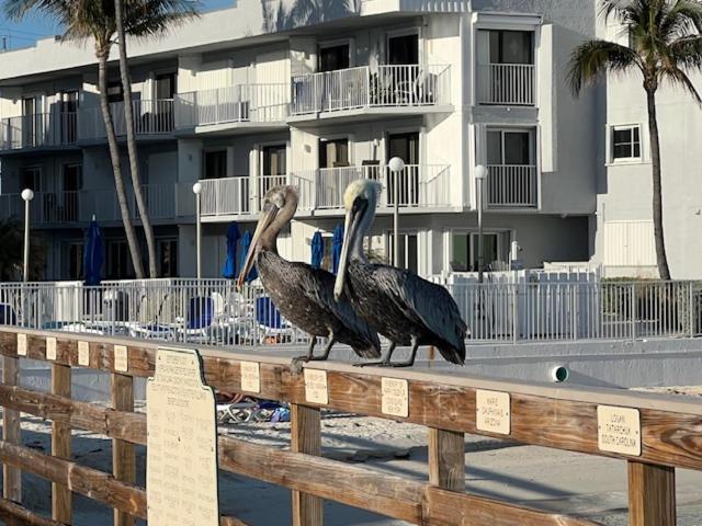 Casa Clara Condos Key Colony Beach 외부 사진